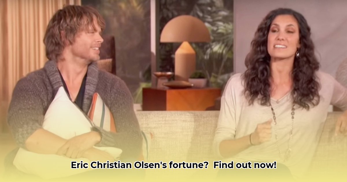 eric-christian-olsen-net-worth